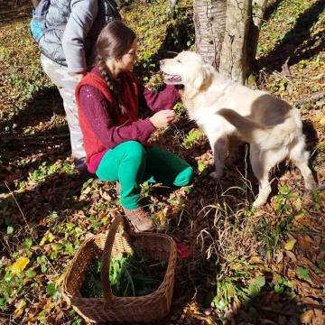 jesenska delavnica 2023 08